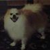 Emory Carter - Facebook
