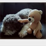 Emery - @emerychen5 - Instagram