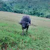 Emery Badajos Herrera - @fun.vid8 - TikTok