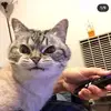 Emery Herrera - @bettkhr__ - TikTok