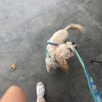 Emery Lingo - @emerylingo - Instagram