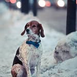 Majori Emery - @emerymajori - Instagram
