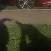 emerypatterson7 - @hahasofunny_5 - TikTok