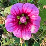 Marilyn Emery Phillips - @marilyn.e.phillips - Instagram