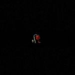I was of  Mattheo Riddle. When he was alive - @_emery.scott_ - Instagram