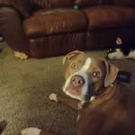 Emery Shaw - @shawemery0 - Instagram