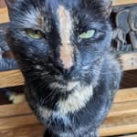 Emery Weaver - @emery.weaver14 - Instagram