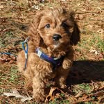 Emery Weaver - @emery_weaver_4school - Instagram