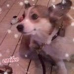 Emiko Saito - @tyemi0103 - Instagram