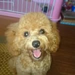 Emiko Saito - @mikou0517 - Instagram