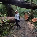 Emiko Saito - @emimi4shimai429 - Instagram