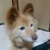 emikosaito7 - @emikosaito7 - TikTok
