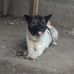 Emil Bravo - Facebook