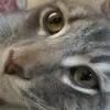 emiljordan55 - @emiljordan55 - TikTok