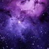 emil - @emil.lin_ - TikTok