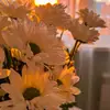 emil.lin - @emil.lin - TikTok