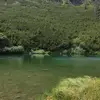 emil vlad - @morunasul50 - TikTok