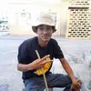Emile Green - @emile.green - TikTok
