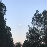 emile james navarre - @zazaog08 - Instagram