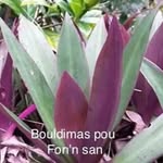 Emile Joseph - @emile.joseph.7921 - Instagram
