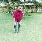 emile king vivi - @emilekingviv - Instagram
