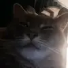 Émilou - @emilemartel5 - TikTok