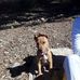 Emile Meyer - Facebook