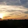 emileross - @emileross0 - TikTok