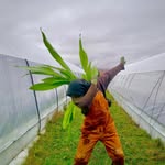 Émile Thibault - @lecat_qc - Instagram