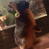 Emile_Wolfs - @emile_wolfs - TikTok