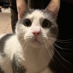 Emilee Berry - @ilikechickennuggets07 - Instagram