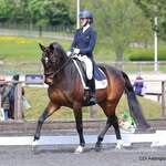 Emily Brewer - @emilybrewerdressage - Instagram
