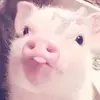 Emilee Davis - @emilee7808 - TikTok