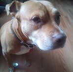 Emilee Dingman - Facebook