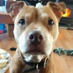 Emilee Dingman - Facebook