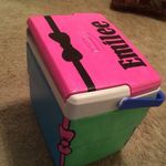 Emilee Edwards - @coolers.by.emilee - Instagram