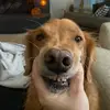 Emilee Evans - @emileeevans3 - TikTok
