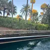emileehall1 - @emileehall11 - TikTok