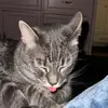 emileehall222 - @emileehall222 - TikTok