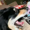 Emilee - @emileeking24 - TikTok