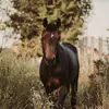 emileelee25 - @emileelee25 - TikTok