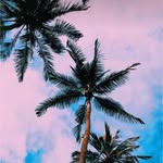 Emily.lyons1234 - @emily_lyons_12345 - Instagram