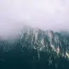 EmileeMorris437 - @emileemorris437 - TikTok