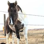 Emilee Nelson - @lazyheartphotos - Instagram