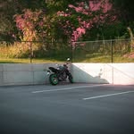 Emilee Robinson - @emilee.robinson.photography - Instagram