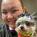 Emilee Robinson - @emileethedoggroomer606 - Instagram