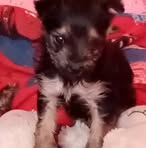 Emilia Cabello - Facebook
