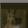 Emilio  emilia abe1234567890li - @emilio.emilia.abe - TikTok