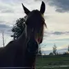 emiliawallin225 - @emiliawallin225 - TikTok