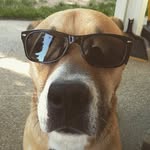 Emilio - @emilio_ca_milo - Instagram